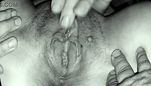 군인이 좌파 열정적인 크림파이 갈구해