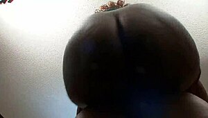 Horse Sucks Huge Black Dick and Balls