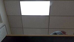 Raven May's anal POV scene one