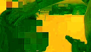 redhead puppy eagerly deepthroats and sucks cock hard