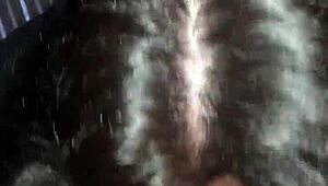 Amateur Latina sucks big black cock
