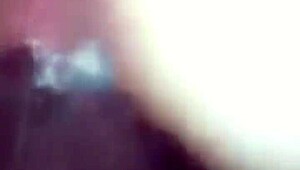 Early Morning Wetness