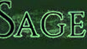 sinn sage dominates with joi tease showing her pussy