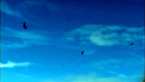 what movie features this prostitute scene where can i find it help