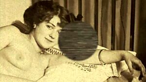 vintage hairy beaver antique