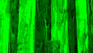 roll the dice and stroke for me, day 12?