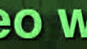 vintage hairy beaver antique