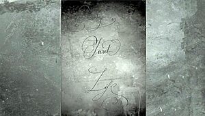 i've got this vintage hairy pussy in my secret life, blowjob and all