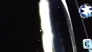 Redhot Fox Wants More Than Fingerjob