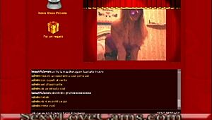 Beautiful Swan Webcam Show With Amateurs