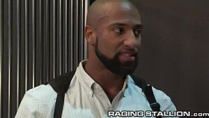 Are these hairy black investigators ready to suck some massive dick?