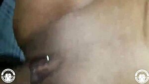 Banging Out These Sluts