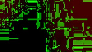 every pussy matters in this world