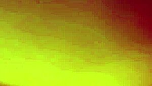 every pussy matters in this world