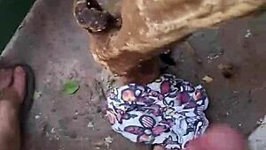 My Friend's Hard Like a Pole, I Jerked Off Alone.