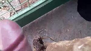 My Friend's Hard Like a Pole, I Jerked Off Alone.