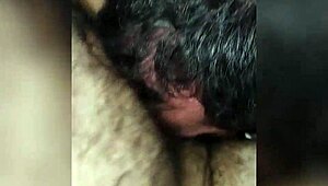 Does everything start with a blowjob in this gay video?