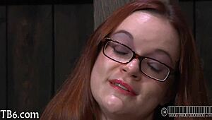 I stumbled upon free sadomasochism stories