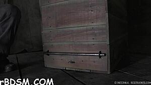 Muzzled playgirl needs wild taming? Let's see her blowjob skills.