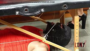 Rebeka Marques Dominates Submissive Guy