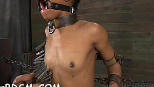 i clamped up this chick and hooked her anal with a toy, oops