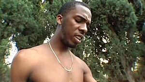 man, these fly bitches suckin' me outdoor real good