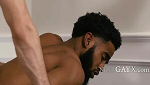 Peeping ebony neighbor joins interracial bareback anal fuck.