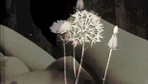 My Secret Vintage Masked Lesbians in Wild Group Action! Wow, Watch Them Go!