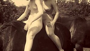 Dark Lantern Entertainment Unveils Beauty and Beast