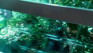 Gauchos Boldly Fuck Asses Outdoors In Public Voyeur Anal