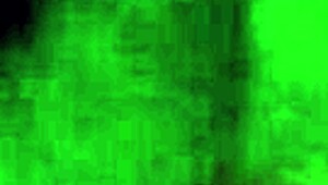 Black Girl Sucking White Cock