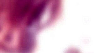 Triple Action with Selvaggia, Monika Wild, Anna Rey - Balls Deep Anal, ATM Creampie, Squirt to Mouth Gio441