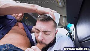 Gay hitchhiker gets his ride's attention