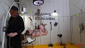 Babe Feels Intense Humiliation in Rough Anal Domination