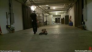 Ebony's Rough Bondage Session with Gimp's Big Cock