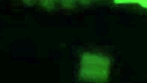 Watch Me Masturbate In The Office!