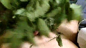 Exploring the wild side with stinging nettle play in a secluded forest. It’s a daring fetish adventure.