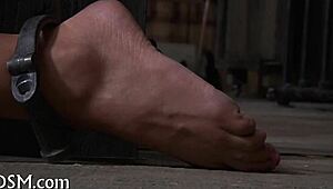 BDSM movie collection