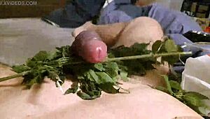 Exploring the wild side with stinging nettle play in a secluded forest. It’s a daring fetish adventure.