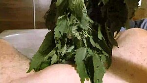 Exploring the wild side with stinging nettle play in a secluded forest. It’s a daring fetish adventure.