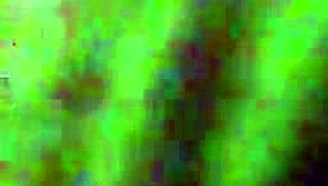 Blowjob Pertamanya vs Deepthroat Paling Berantakan