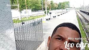 Festa Liberal Rio De Janeiro Festa Do Leo Ogro With Brazilian Vibes