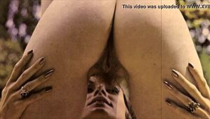 Vintage porn with a hairy mature twist