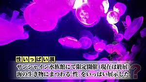 Amateur Japanese Performers in Intimate Scenes