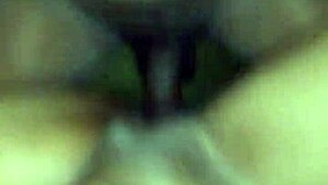 Intense pounding of pretty brown pussy leads to cumshot.