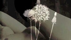 Винтидж Вибрации: Сам с гореща мащеха