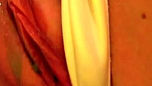 Capri fucks London passionately