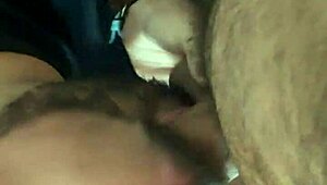 Debelo brazilsko medvede dobija duboko grlo pušenje sa gušenjem