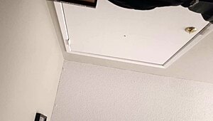 Blonde girlfriend cheats with her pussy exposed in a steamy encounter.