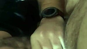 Debelo brazilsko medvede dobija duboko grlo pušenje sa gušenjem